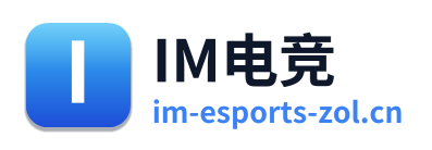 IM电竞 Logo